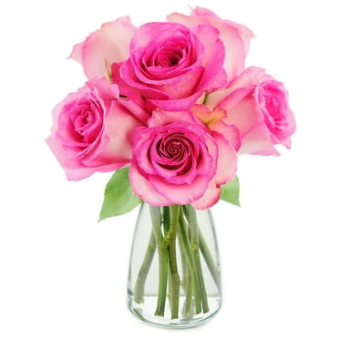 KaBloom: Fall Collection- Bouquet of 6 Pink Roses with Vase,Next-Day Delivery, Gift of Fresh Flowers for Every Occasion.