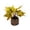 A001- Style A, variant on Fall Decorations for Home with 6-Inch Artificial Maple Leaf Potted Plant, Fall Table Centerpiece for Autumn Harvest Ambiance, Thanksgiving Table Decor Housewarming Gift, 1 Count