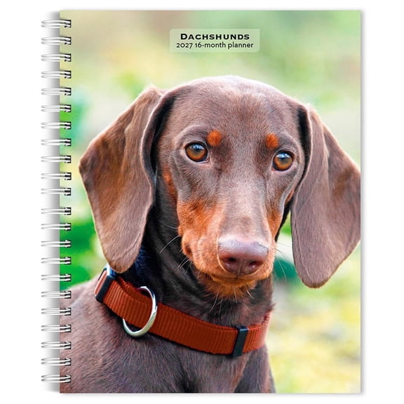 Dachshunds 2027 6 X 7.75 Inch Spiral-Bound Wire-O Weekly Engagement Planner Calendar New Full-Color Image Every Week, (Paperback)