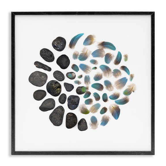 Stupell Industries Feathers & Rocks Collection Black Framed Giclee Art, design by Beth Adoette