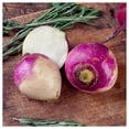 thumbnail image 5 of Everwilde Farms - 250 Organic Purple Top White Globe Turnip Seeds - Gold Vault Jumbo Bulk Seed Packet, 5 of 5