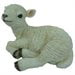 thumbnail image 2 of Border Concepts Sitting Lamb Statue, 2 of 2