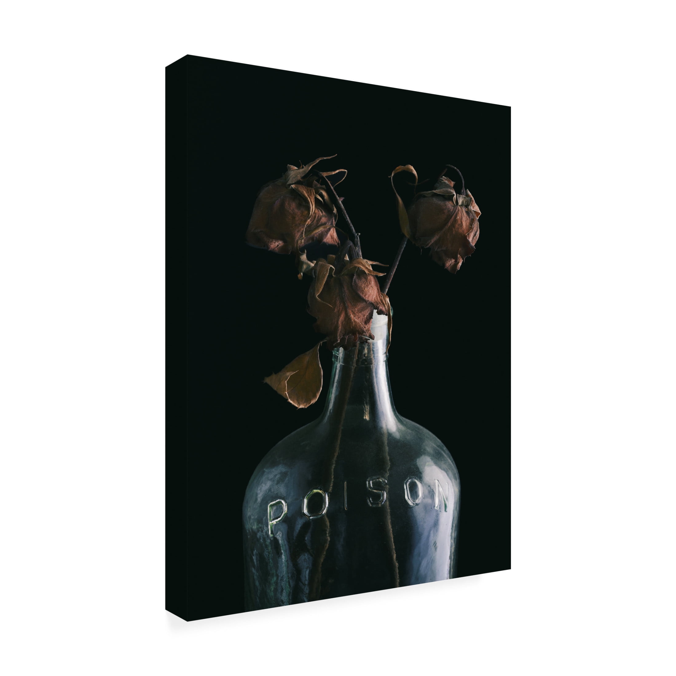 Canvas Wall Art - Tom Quartermaine 'Poison Bottle and Dead Flowers' Wall Art for Living Room, Bedroom, or Office Décor by Trademark Fine Art - 35 x 47 Inches