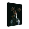thumbnail image 4 of Canvas Wall Art - Tom Quartermaine 'Poison Bottle and Dead Flowers' Wall Art for Living Room, Bedroom, or Office Décor by Trademark Fine Art - 14 x 19 Inches, 4 of 4