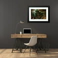 thumbnail image 4 of Jan Brueghel the Younger 24x17 Black Modern Framed Museum Art Print Titled - Latona and the Lycian Peasants (C. 1605), 4 of 5