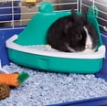 thumbnail image 4 of Corner Litter Pan For Critters, 4 of 4
