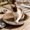 01_Round Scratch Board S, variant on Cat Scratching Tray for Indoor Cats with Lint-Free Round Corrugated Design, 360° Scratchable & Non-Slip Base, Suitable for Sleeping Playing, 11.8x11.8x3.1in by MPOISVA