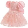 thumbnail image 2 of NAISIBABY Girls Princess Dress 6T, Back Bowknot Glitter Mesh Embroidered Puff Sleeve Tulle Gown Party Pageant Dress Pink, 2 of 6