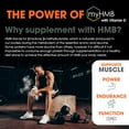thumbnail image 4 of Natural Lean Muscle & Muscle Mass Supplement- Anabolic Testosterone Booster Powder, Salted Caramel Genius Muscle by the Genius Brand, 4 of 6