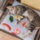 thumbnail image 5 of EeaseMX 5 juguetes divertidos para morder mascotas con forma de comida simulada, juguetes relajantes para el estrés para gatos y perros., 5 of 8