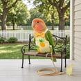 thumbnail image 5 of OCCOA Conure Flight Suit Bird Diaper with Poop Pocket for Budgie Cockatiel Peachface Parakeet Outdoor Clothes, Yellow, 5 of 6
