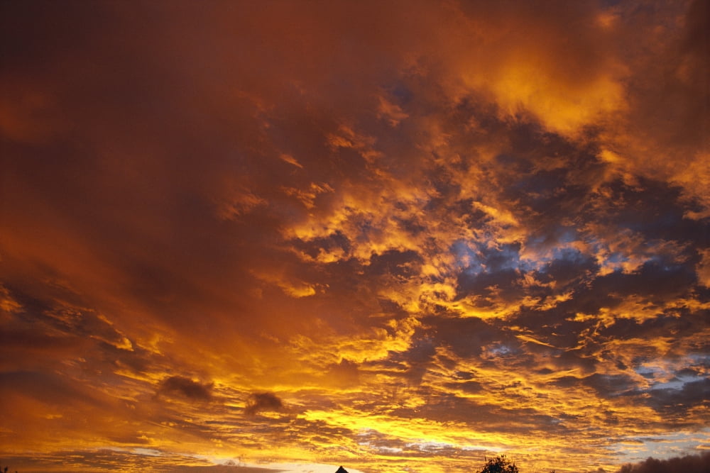 Spectacular Large C