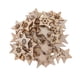 thumbnail image 2 of 100 Piezas de Tallada Sin Terminar con Forma de Estrella, Adorno de Piezas de, 2 of 9