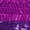 Purple, variant on Unisex Girls Boys Gymnastics Shorts Athletic Dance Bottoms Hip Hop Jazz Competition Booty Boy-Cut Shorts Green 8