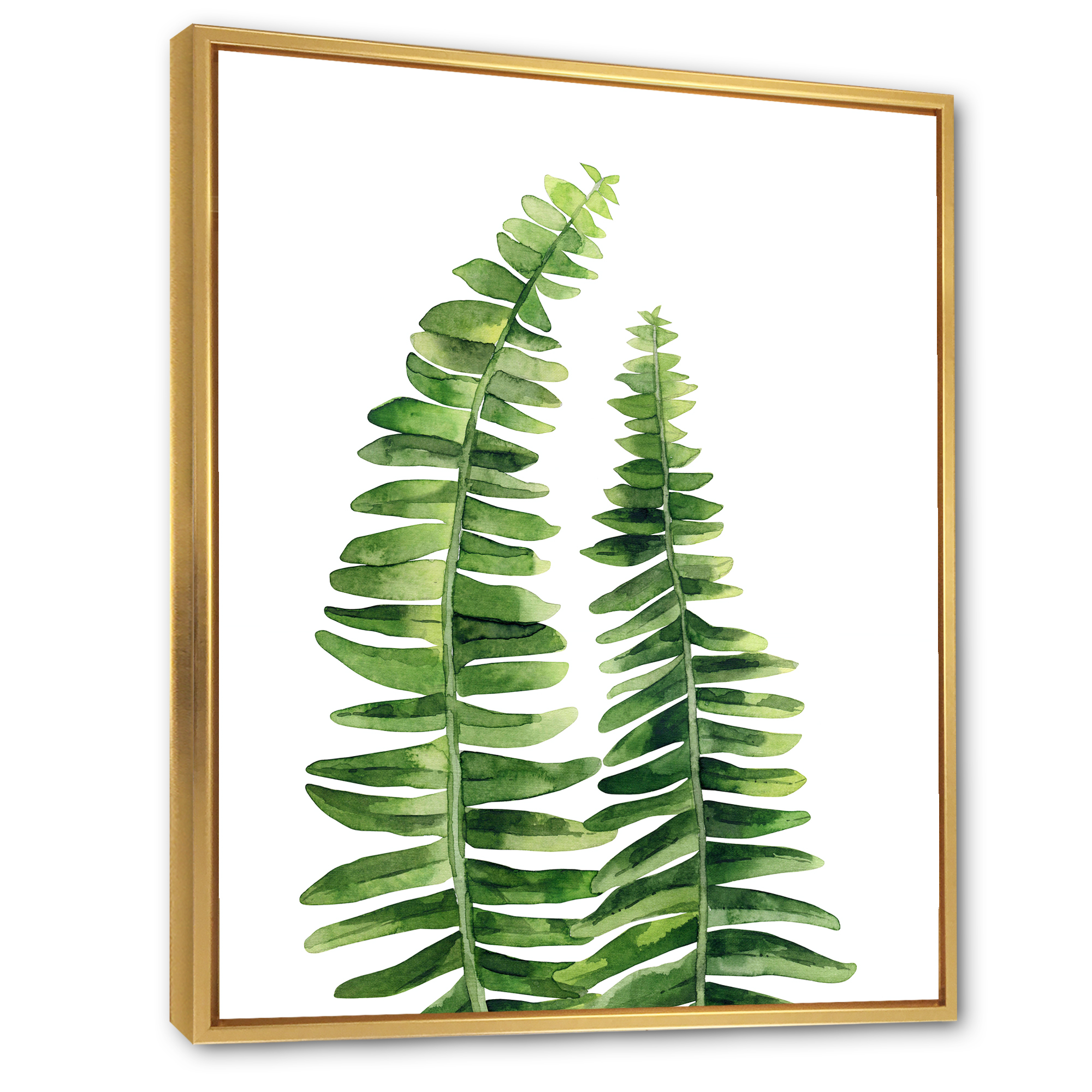 Designart 'Fern Plant Leaves Detail IV' Farmhouse Framed Canvas Wall Art Print