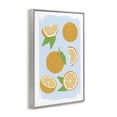 thumbnail image 2 of Stupell Industries Farmhouse Pastel Summer Oranges Gray Framed Giclee Art, 20 x 30, by Martina Pavlova, 2 of 8