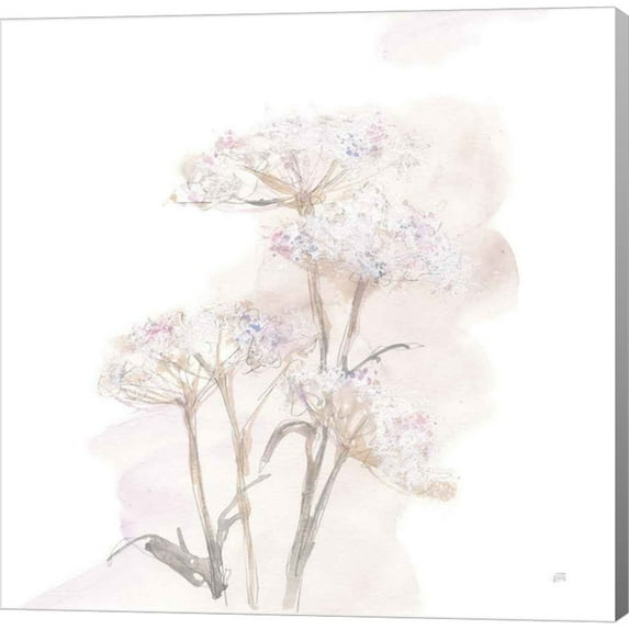 Great Art Now Queen Annes Lace V by Chris Paschke, Canvas Wall Art, 24W x 24H