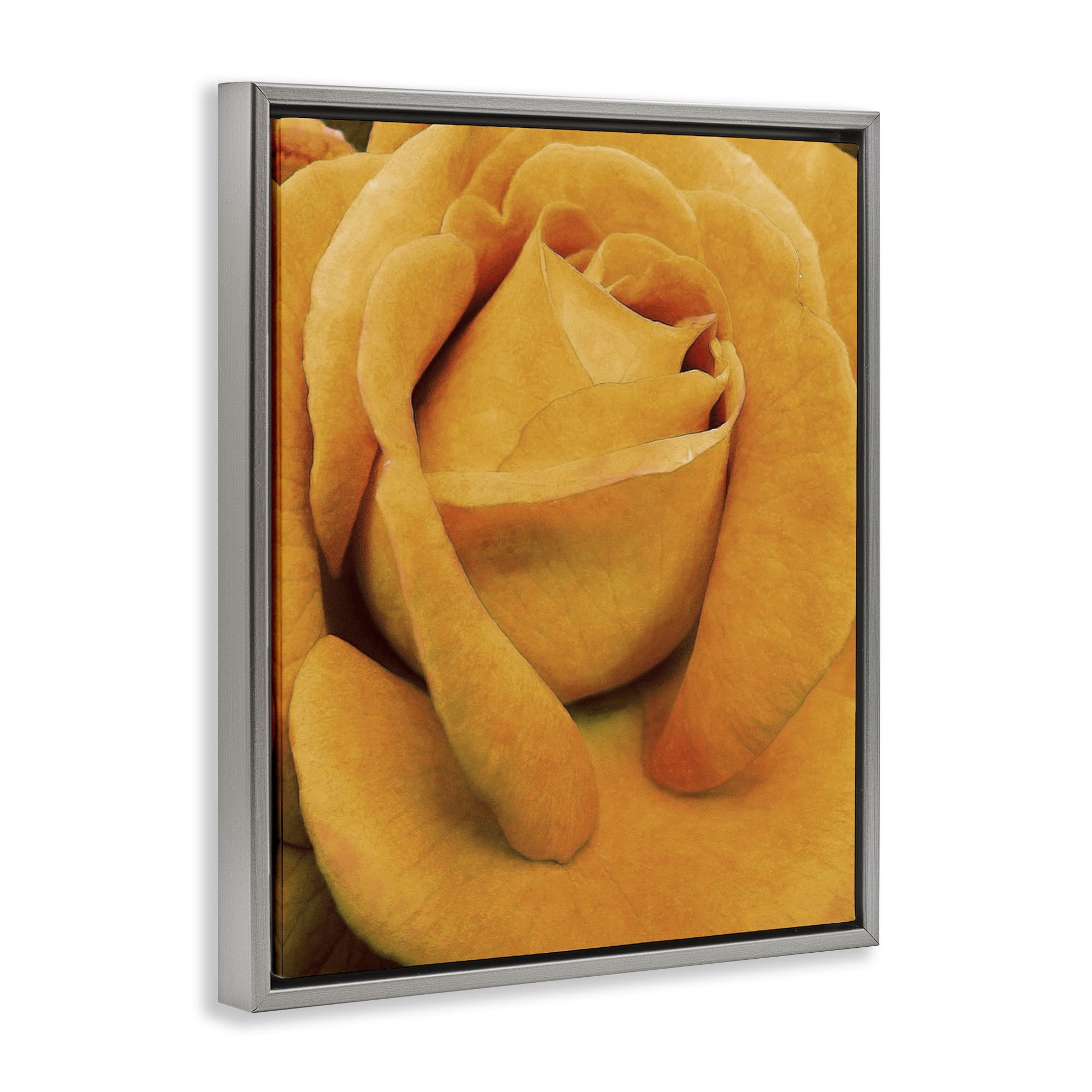 Stupell Industries Yellow Rose Close Up Botanical & Floral Painting Gray Floater Framed Art Print Wall Art, 25 x 31