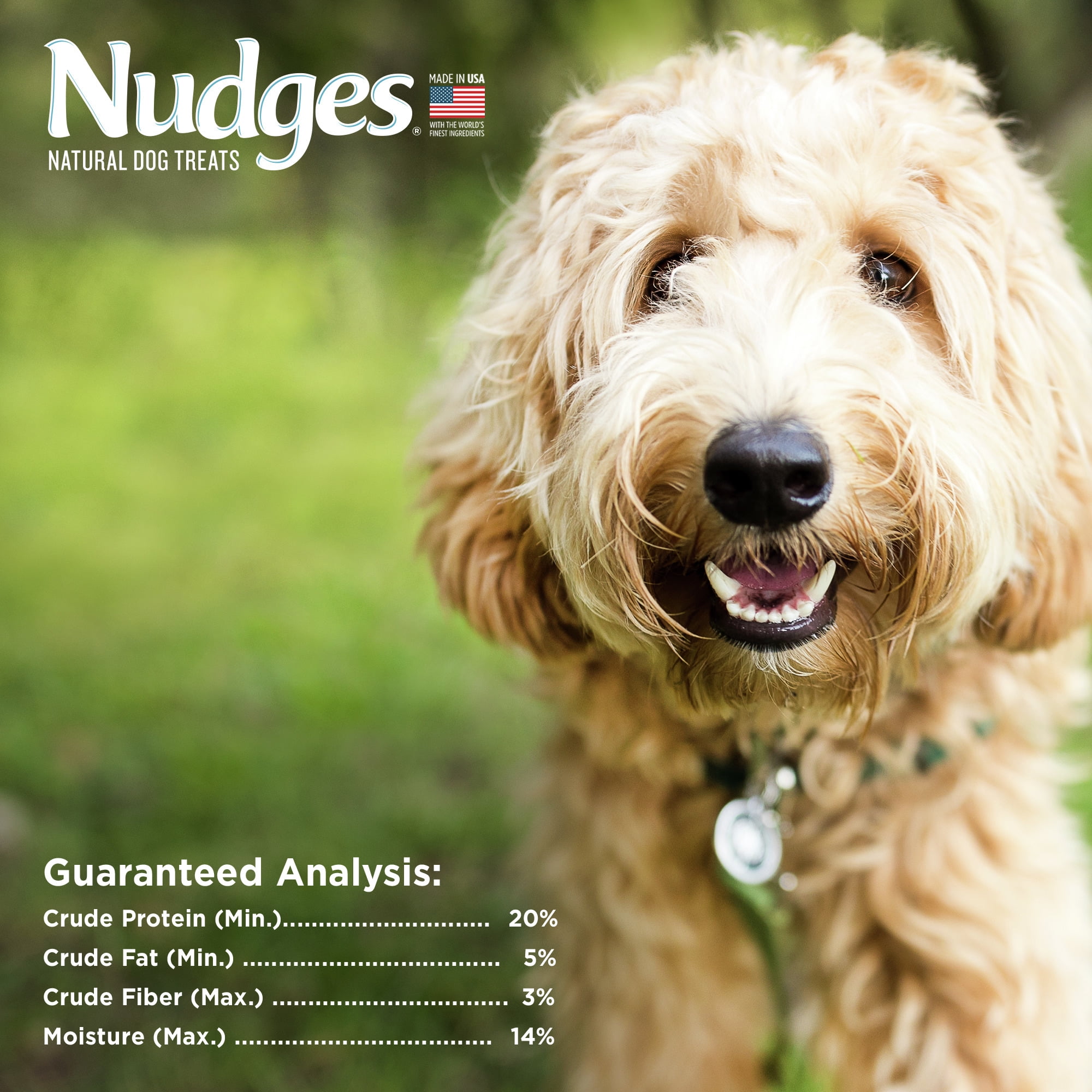 Nudges® Natural Dog Treats Protein Biscuits Made with Real Beef, 16 oz