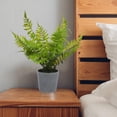 thumbnail image 6 of CRILSTYLEO Dark Blue Mini Potted Simulation Fern Plant for Home Decor Plastic Desktop Decoration 4.5 inch, 6 of 8