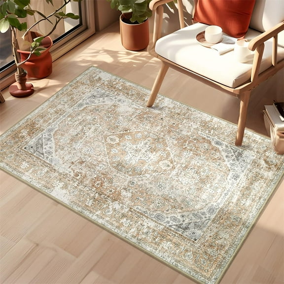 Small Rug Boho Area Rug Washable Beige Rugs for Bedroom Entryway Non Slip Throw Carpet for Bathroom Door Mat Shower Room Entrance Girls Soft Light Gray Floral Home Decor 2''x3''