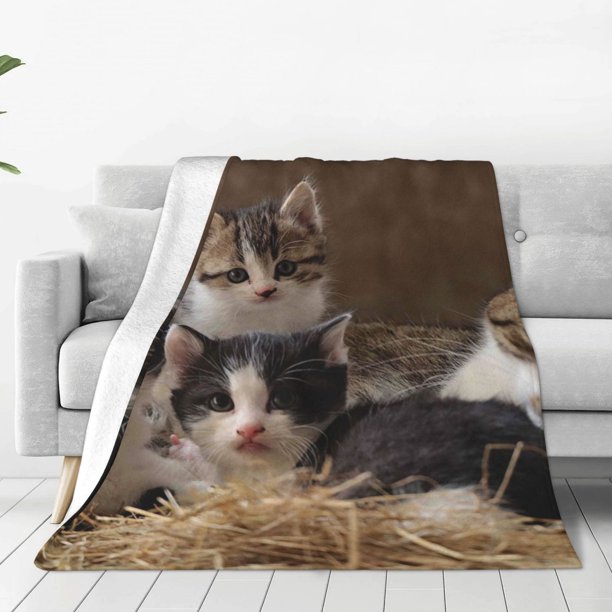 Balery Cat Family Manta de Felpa Suave y Acogedora – Cobija de Franela Aterciopelada para Cama, Lavable y Cálida para Sofá, Mascotas, Transpirable-40"x30"