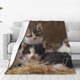 thumbnail image 1 of Balery Cat Family Manta de Felpa Suave y Acogedora – Cobija de Franela Aterciopelada para Cama, Lavable y Cálida para Sofá, Mascotas, Transpirable-40"x30", 1 of 7