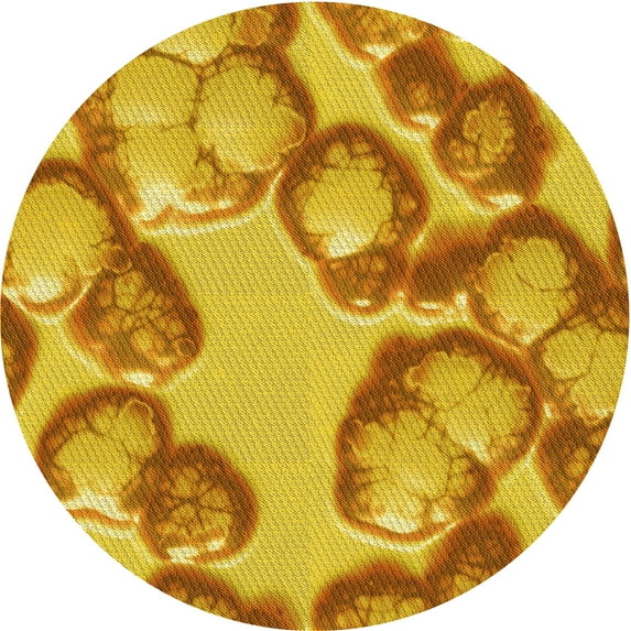 Ahgly Company Indoor Round Patterned Deep Yellow Area Rugs, 4' Round