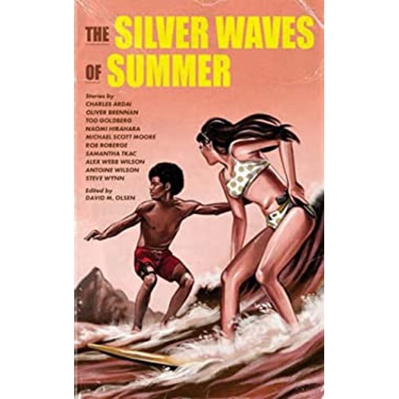 Pre-Owned The Silver Waves of Summer (Paperback) 1737322803 9781737322801