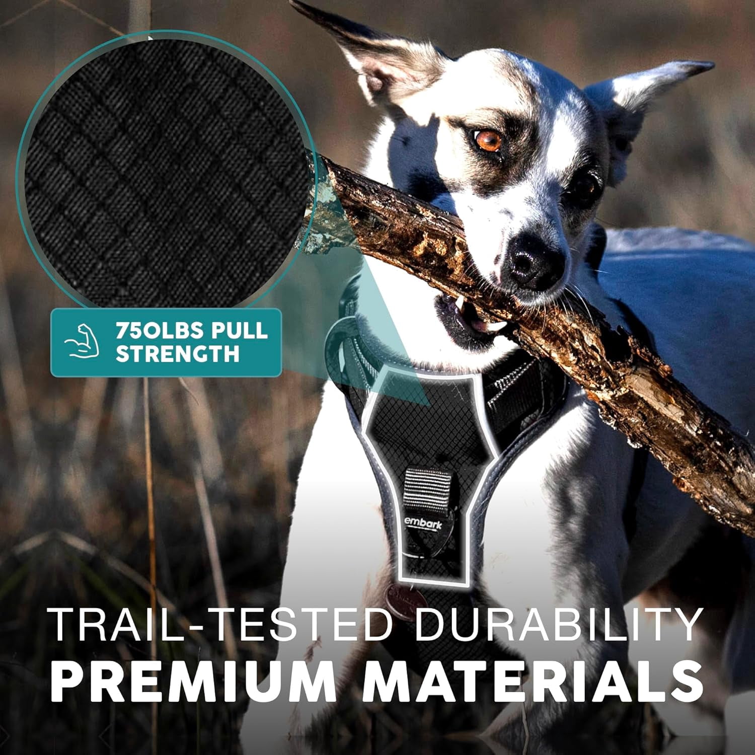 Embark Adventure Dog Harness, No-Pull Reflective Trim Dog Harness for Small, Medium & Large Dogs - Military Grade Nylon, 2 Leash Clips & Gel Lined Handle. Soft & Padded Puppy Dog Vest for Any Breed