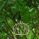 thumbnail image 3 of Paquete de 12 cadenas colgantes de 9,5 pulgadas, colgadores de plantas de jardín, para colgar comederos para pájaros, vallas publicitarias, pizarras, cestas, maceteros, 3 of 5