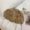 Coffee, variant on Winter Warm Hat Hair Rabbit Plush Baotou Hats Versatile Anti -Cold And Winter Wool Knitted Wool Wool Pot Cap