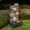 Gray, variant on Teamson Home 28.5" Outdoor 4-Tier Stacked Stone Cascading Water Fountain with LED Lights, Brown