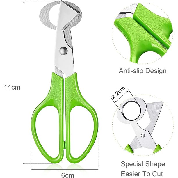 Lot De 4 Ciseaux à Œufs De Caille Multicolores – Ouvre-Œuf Inox Précis Et Rapide – Rouge, Vert, Jaune, Noir