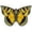 Yellow, variant on X-Kites Butterfly/PaPillon 28" Nylon Kite (Purple)