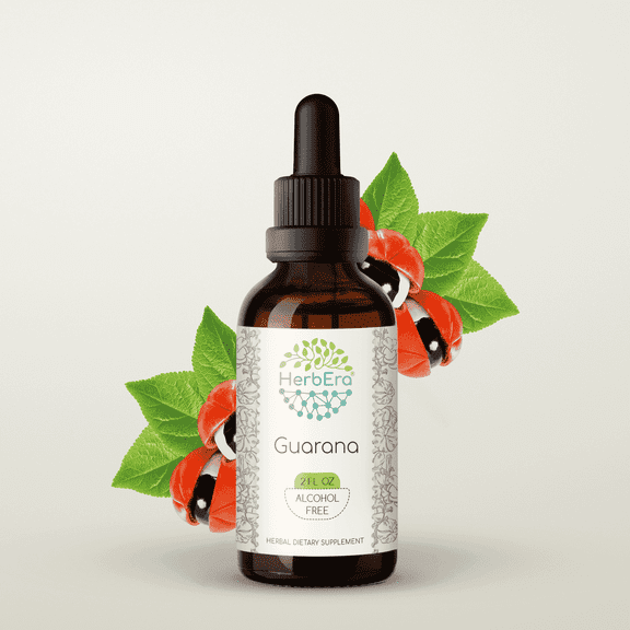 HerbEra Guarana Tincture, Herbal Dietary Supplement for Energy Support, Guarana (Paullinia cupana) Dried Seed Extract, Natural, Alcohol-Free, Drops 2 oz