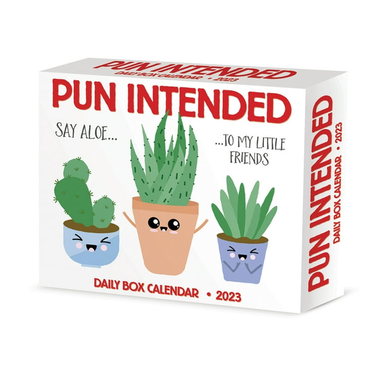 Pun Intended 2023 Box Calendar (Calendar) - Walmart.com