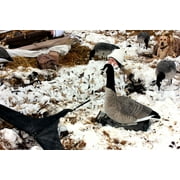DOA Decoys 401189 3D Concealment Snow Blanket in Camouflage Colors