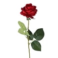 thumbnail image 1 of Ramo de rosas artificiales realistas de seda sintética de tacto real, tallo largo, con hojas, para el hogar, boda, fiesta, centro de mesa., 1 of 8