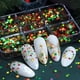 thumbnail image 5 of 6 rejillas de purpurina navideña de colores variados para uñas, mini purpurina para uñas, caja de lentejuelas para uñas, 5 of 7