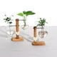 thumbnail image 5 of 2pcs Probeta Florero Soporte De Madera Para Planta Hidropónica 2 Florero, 5 of 9