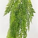 thumbnail image 3 of Simulation of hanging green vines and green grass false vines B, 3 of 5