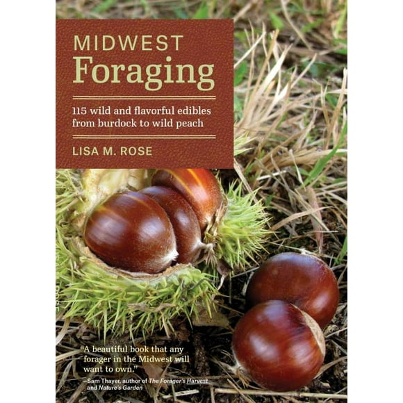 Midwest Foraging, Lisa M. Rose Paperback
