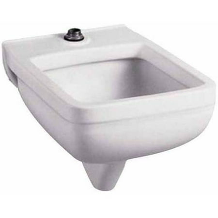 American Standard 9512.999.020 Clinic Service Sink Wall Mounted with 1 1/2 Brass Top Spud, White
