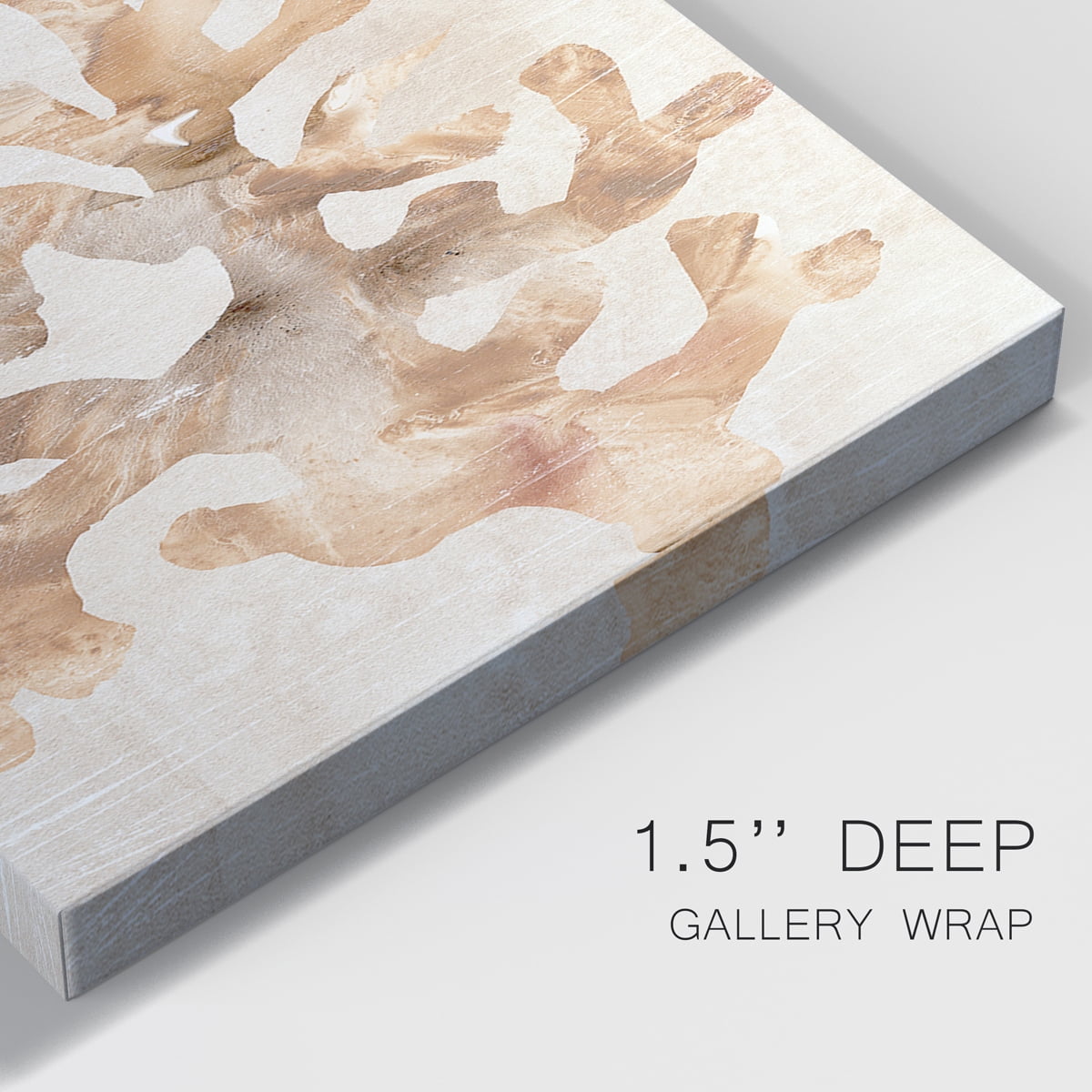 Parchment Coral I Premium Gallery Wrapped Canvas - Ready to Hang - 40 x 60 Each