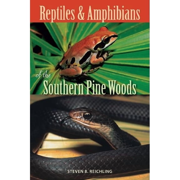 Reptiles and Amphibians of the Southern Pine Woods, (Paperback)