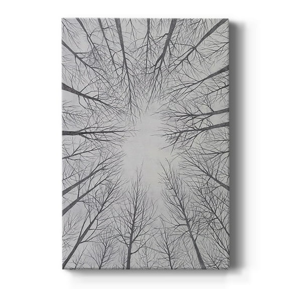 Deciduous Canopy II Premium Gallery Wrapped Canvas - Ready to Hang