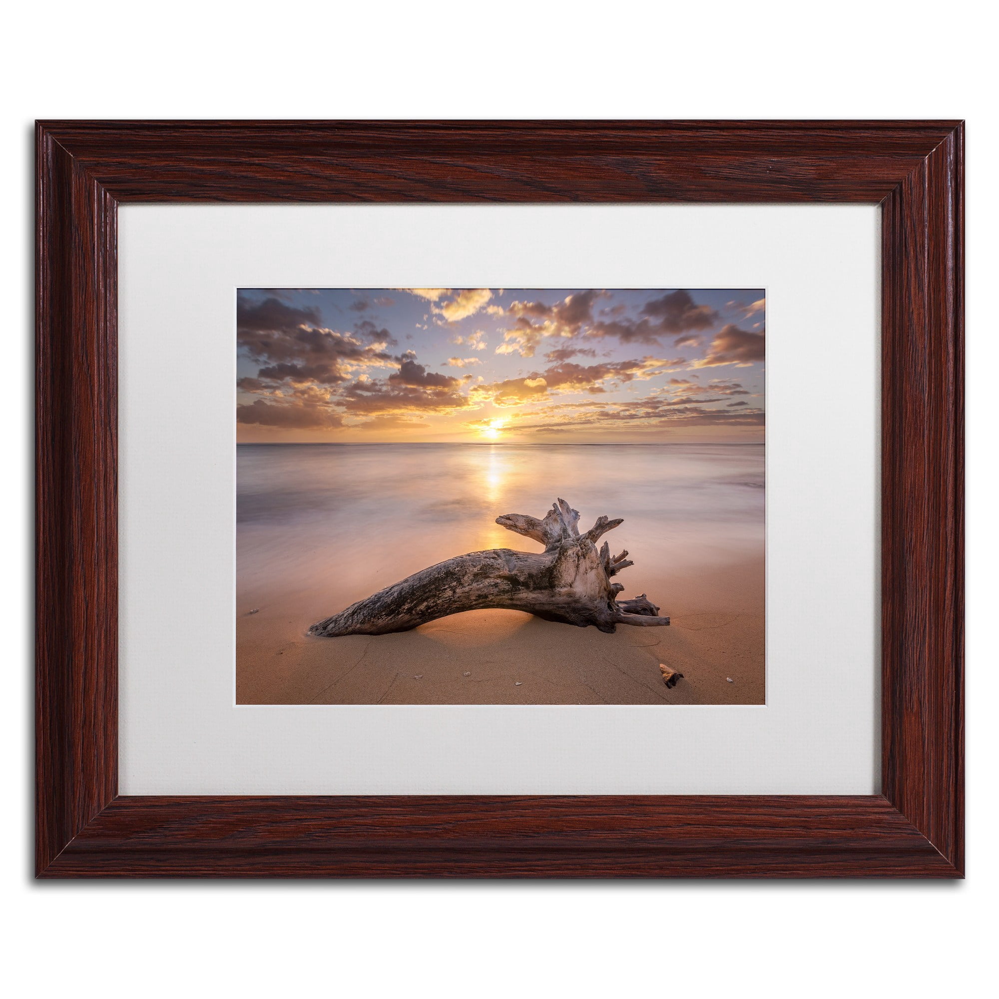 Trademark Fine Art 'Beach Tree Sunrise' Canvas Art by Pierre Leclerc, White Matte, Wood Frame