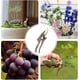 thumbnail image 4 of Garden Scissors 215mm Sk5 Steel Plant Scissors Premium Pruning Shears With Wooden Handle Gardening Tool For Cutting Branches Plants And Flowers., 4 of 5