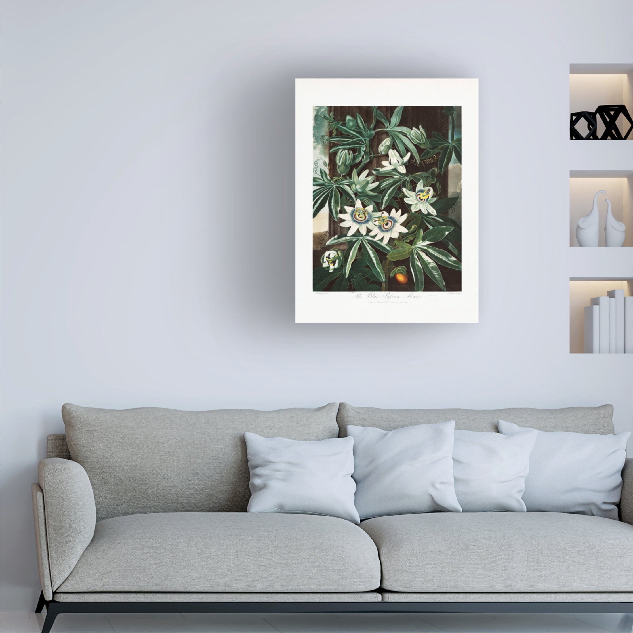 Trademark Fine Art Pictufy  The Passiflora Cerulea from The Temple of Flora 1807 Canvas Wall Art